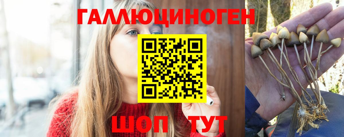 Галлюциногенные грибы Cubensis  Галлюциногенные грибы Cubensis  Вход с VPN  Верхняя Пышма 